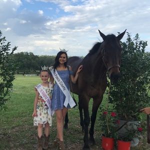 Periwinkle Lace Dress